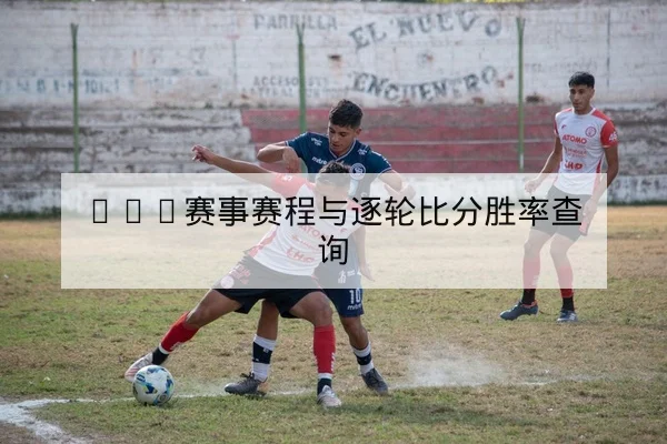 ATP赛事赛程与逐轮比分胜率查询