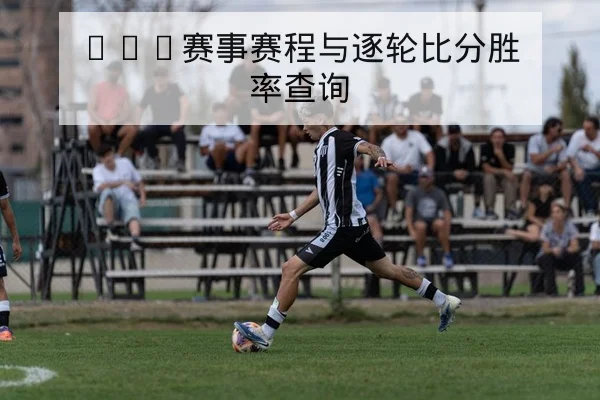 ATP赛事赛程与逐轮比分胜率查询