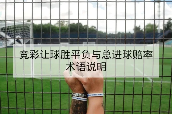 足彩让球与总进球数规则与风险提示解读